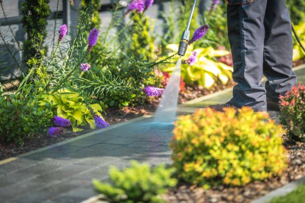 Best Animal Enclosure Cleaning  in Guttenberg, IA