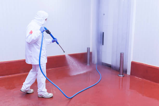 Professional Pressure Washing Services in Guttenberg, IA