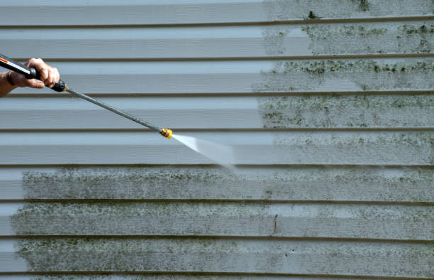 Solar Panel Cleaning in Guttenberg, IA