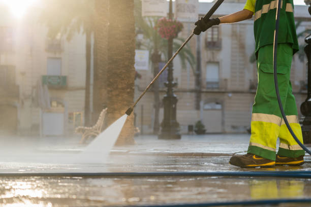 Best Solar Panel Cleaning  in Guttenberg, IA